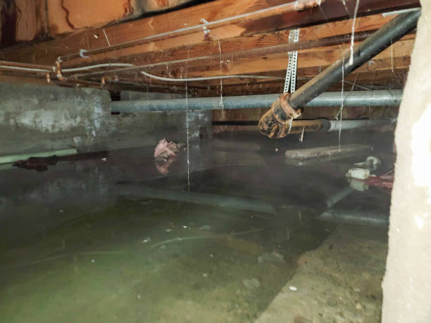 Trusted San Gabriel, CA Water damage restoration Experts