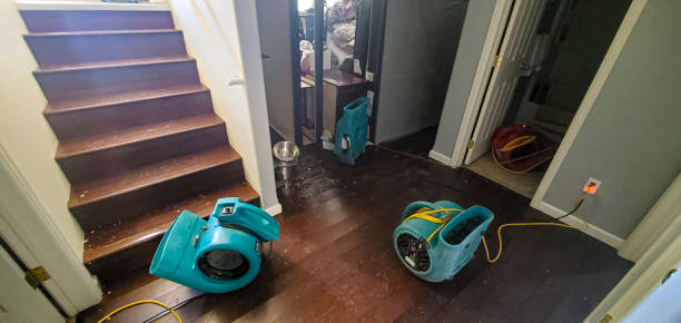 Best Local water damage restoration  in San Gabriel, CA